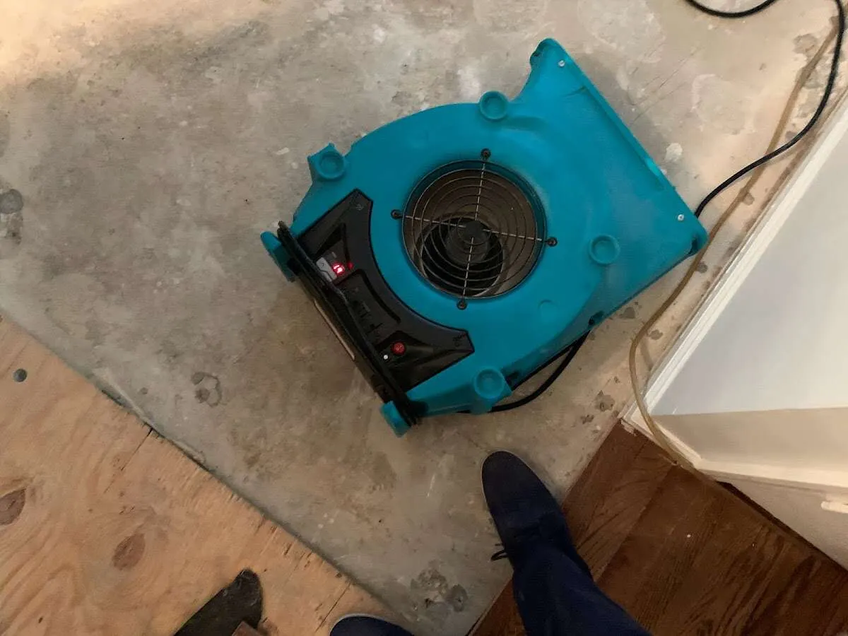 Air mover drying subfloor during Commercial Water Damage Restoration in Everett